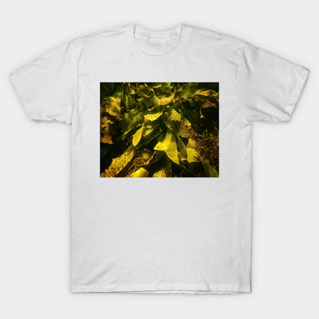 Seaweed T-Shirt by Geoff79